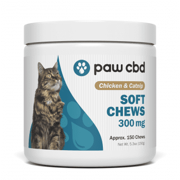 CBD chews for your furry friend along with advice on New Buffalo, MI, CBD Oil for pain relief