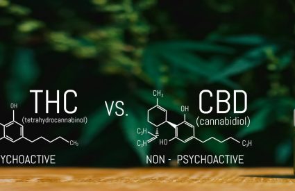 THC vs. CBD: What’s the Difference?